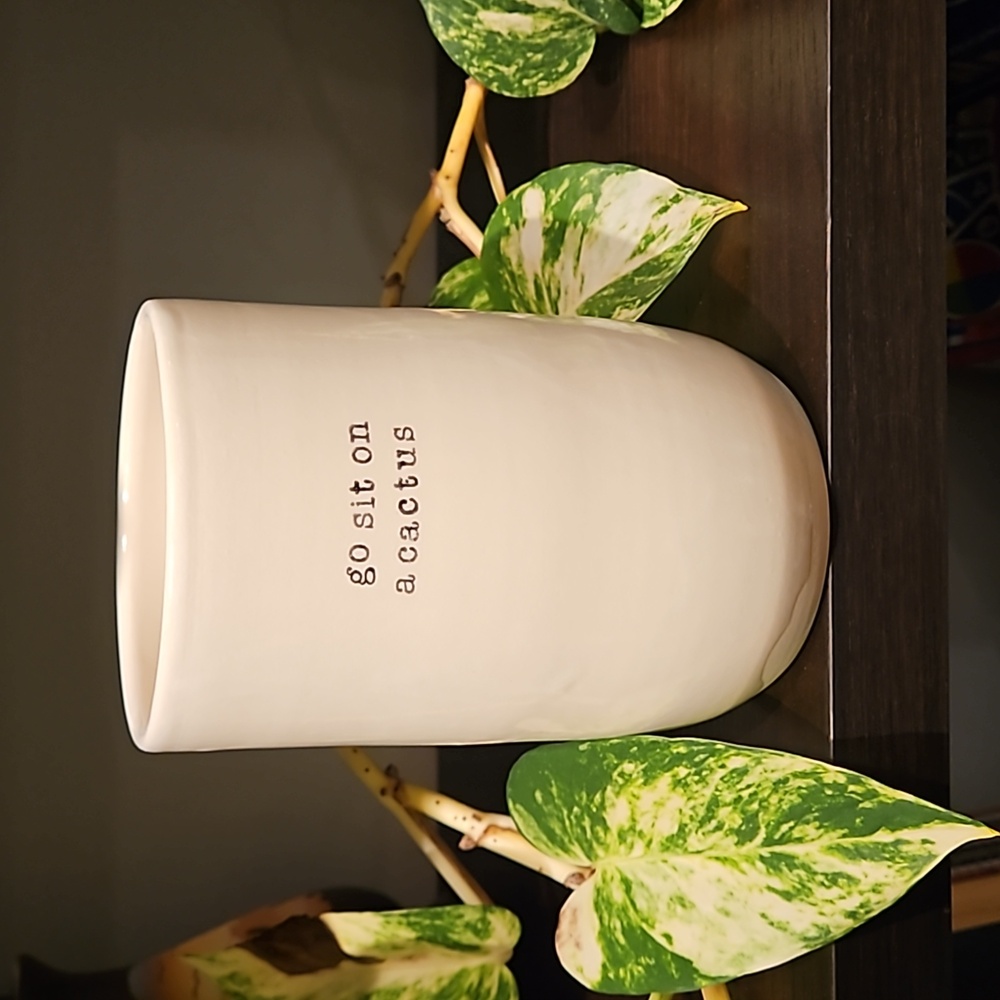 Cute Plant Pot 🌿